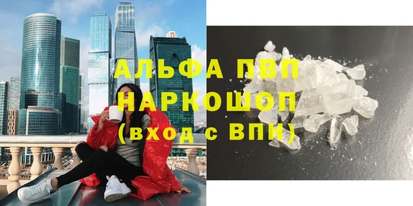 прущие грибы Вязники