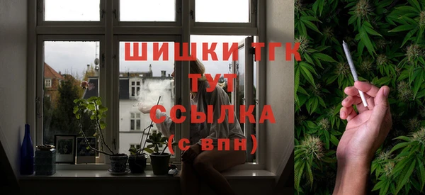 PSILOCYBIN Новодвинск
